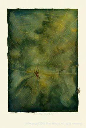 04GardenSpider