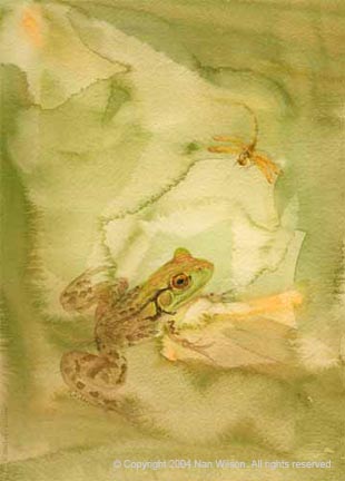 07FrogWithSkim