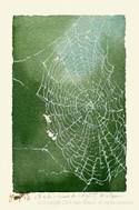 05OrbWeb-1