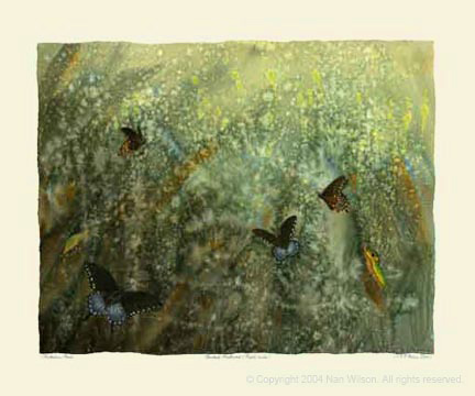 Spicebush Swallowtail Butterfly Lifecycle : Papilio troilus