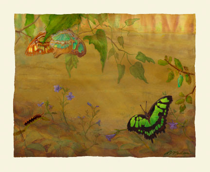 BLUE-EYED SAILOR Dynamine dyonis