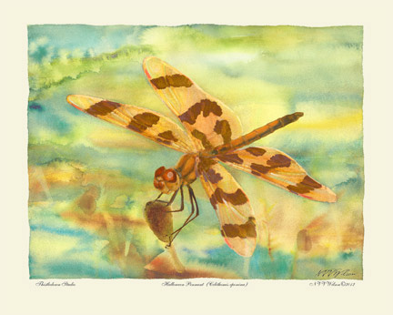 Halloween Pennant painting