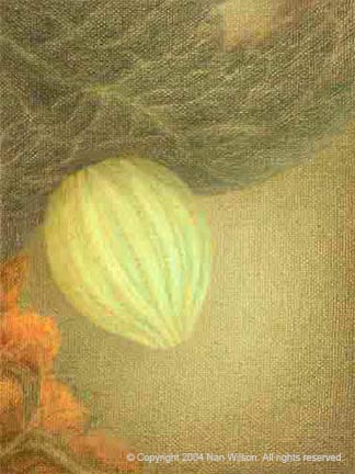 Monarch Butterfly Egg : Danaus plexippus